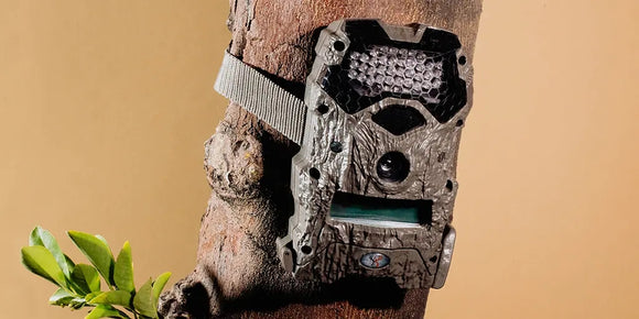 The best trail cameras of 2022